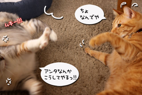 通り過ぎた嵐。_d0355333_19290603.jpg