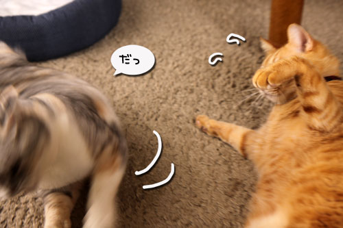 通り過ぎた嵐。_d0355333_19290772.jpg