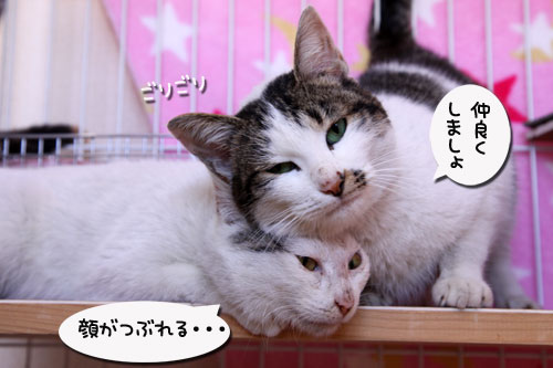 通り過ぎた嵐。_d0355333_19290834.jpg