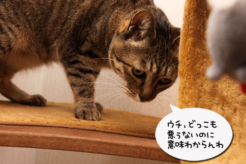 みんな、頑張ったね_d0355333_19291026.jpg