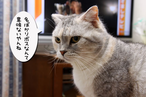 勇敢な乙女_d0355333_19292490.jpg