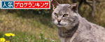ぐれ隊長とお散歩_d0355333_19293908.jpg