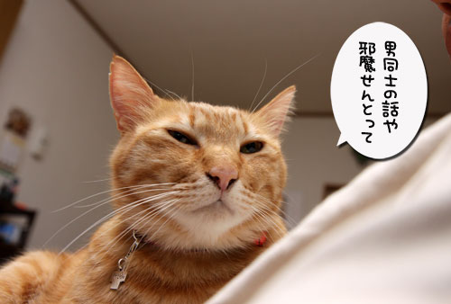 魔法のおひざ_d0355333_19295805.jpg