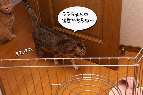 はじめまして_d0355333_19300002.jpg