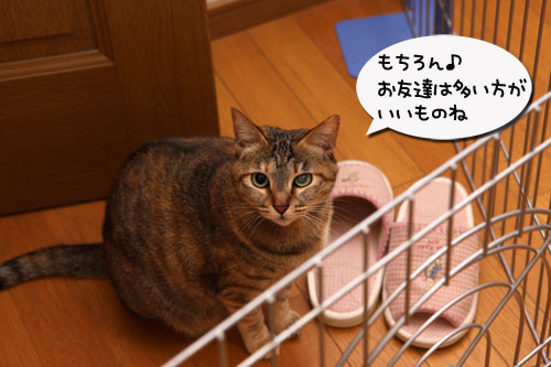 はじめまして_d0355333_19300015.jpg