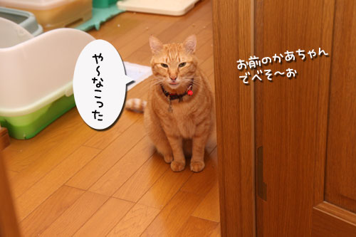 はじめまして_d0355333_19300016.jpg