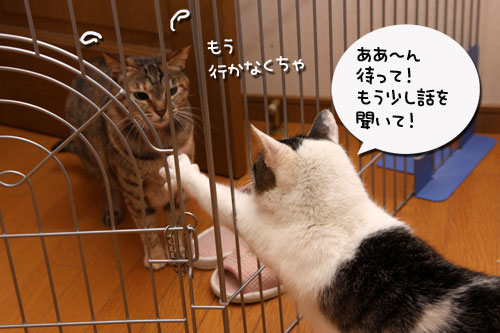 はじめまして_d0355333_19300090.jpg