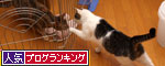 はじめまして_d0355333_19300117.jpg