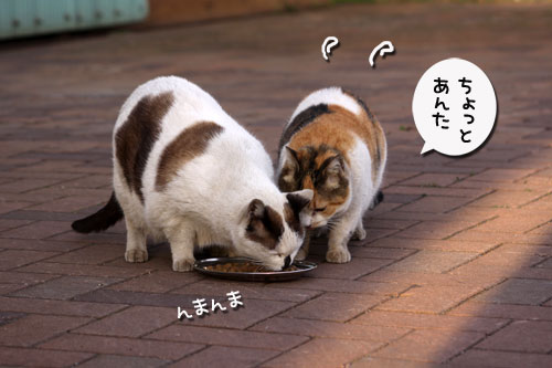 汚れていても_d0355333_19300367.jpg