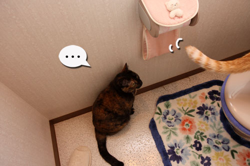 女の園に何がある?_d0355333_19301200.jpg