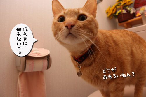 女の園に何がある?_d0355333_19301282.jpg