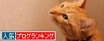 女の園に何がある?_d0355333_19301312.jpg