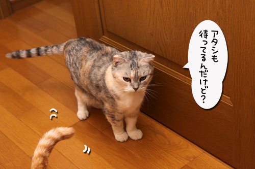 女の園に何がある?_d0355333_19301378.jpg