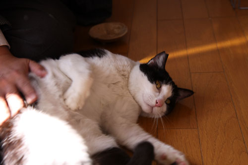 とびっきりのニュース!_d0355333_19302039.jpg