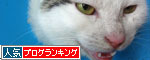 不満たらたら_d0355333_19302702.jpg