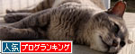 ほんの少しの晴れ間に_d0355333_19303204.jpg