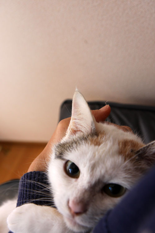 少しずつ、一歩ずつ。_d0355333_19303302.jpg