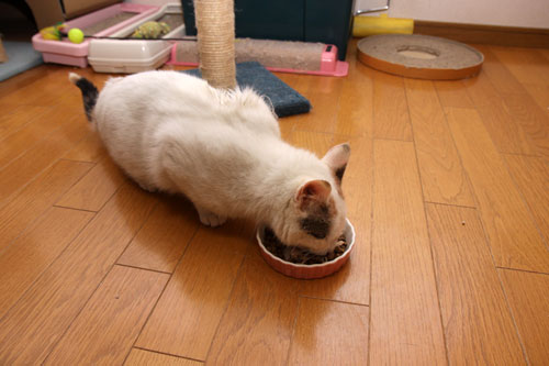 少しずつ、一歩ずつ。_d0355333_19303308.jpg