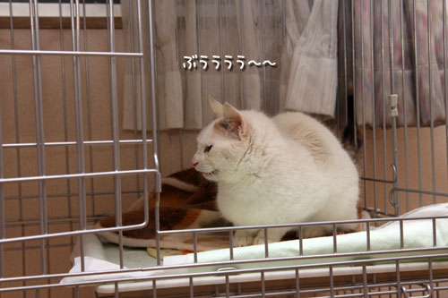 少しずつ、一歩ずつ。_d0355333_19303331.jpg