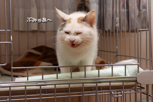 少しずつ、一歩ずつ。_d0355333_19303342.jpg