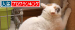 家猫の顔_d0355333_19304374.jpg