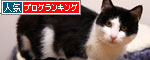 猪突猛進型?_d0355333_19304536.jpg