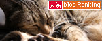 猫たちには関係のないGW_d0355333_19310583.jpg