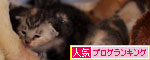 ぐびぐび飲むのだ_d0355333_19310765.jpg