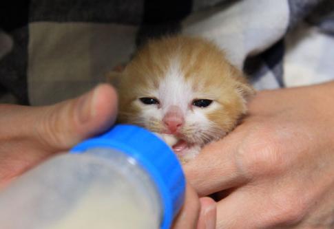 ぐびぐび飲むのだ_d0355333_19311194.jpg