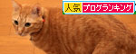 茶とらお顔考察_d0355333_19311430.jpg