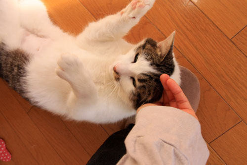 詮無い事だけど・・・_d0355333_19311558.jpg