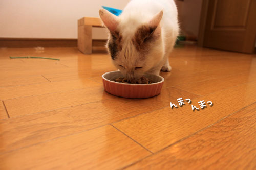 桃菜々懐柔策_d0355333_19312925.jpg