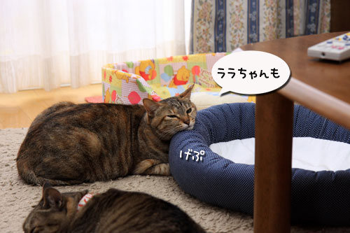 ワクチンショック_d0355333_19313221.jpg