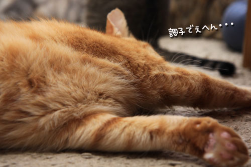 ワクチンショック_d0355333_19313347.jpg