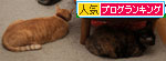 ワクチンショック_d0355333_19313352.jpg
