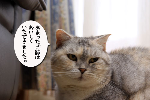 ワクチンショック_d0355333_19313385.jpg