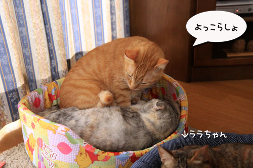 だから、ぼくは嫌われる?_d0355333_19313755.jpg