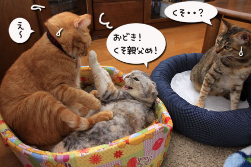 だから、ぼくは嫌われる?_d0355333_19313805.jpg