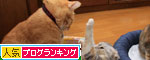 だから、ぼくは嫌われる?_d0355333_19313841.jpg
