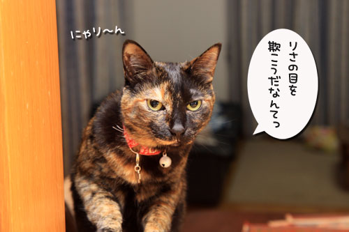 食べ頃はいつ?_d0355333_19314228.jpg