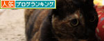 抑えきれない!_d0355333_19314248.jpg