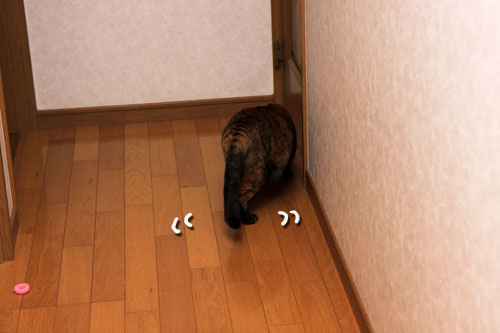 食べ頃はいつ?_d0355333_19314296.jpg