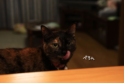 抑えきれない!_d0355333_19314410.jpg