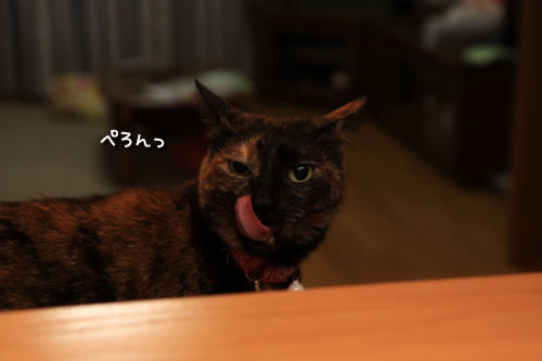 抑えきれない!_d0355333_19314473.jpg
