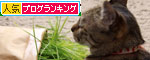 草なんか食べへん。_d0355333_19314832.jpg