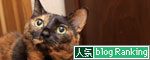 猫で千客万来_d0355333_19315270.jpg
