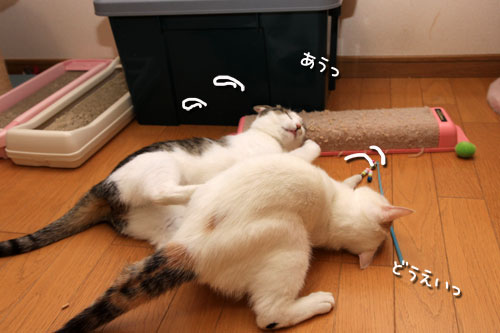 母はつらいよ?_d0355333_19315877.jpg