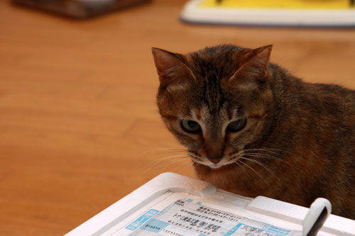 励まされて。_d0355333_19322141.jpg