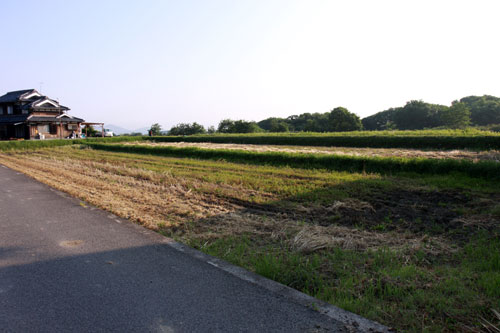 ぐれ隊長と朝の散歩_d0355333_19322775.jpg