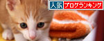 ちびっこたちの帰宅_d0355333_19323135.jpg
